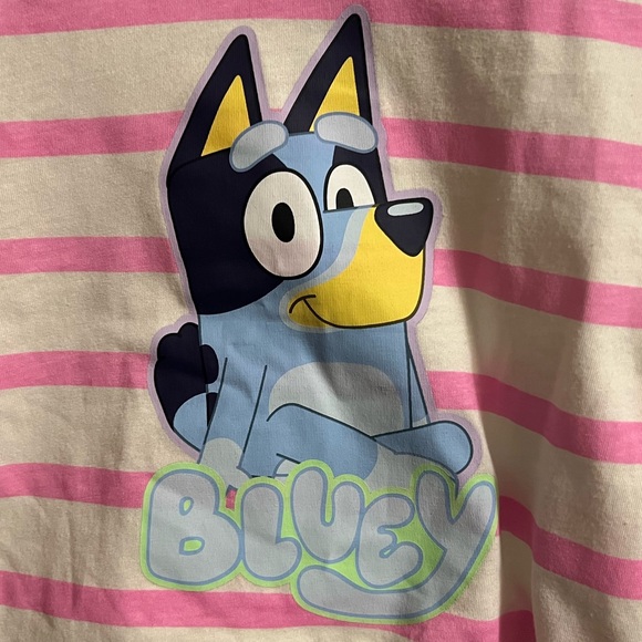 Bluey Pink Striped Graphic Short Sleeve Shirt NWT 18 months - Picture 2 of 3